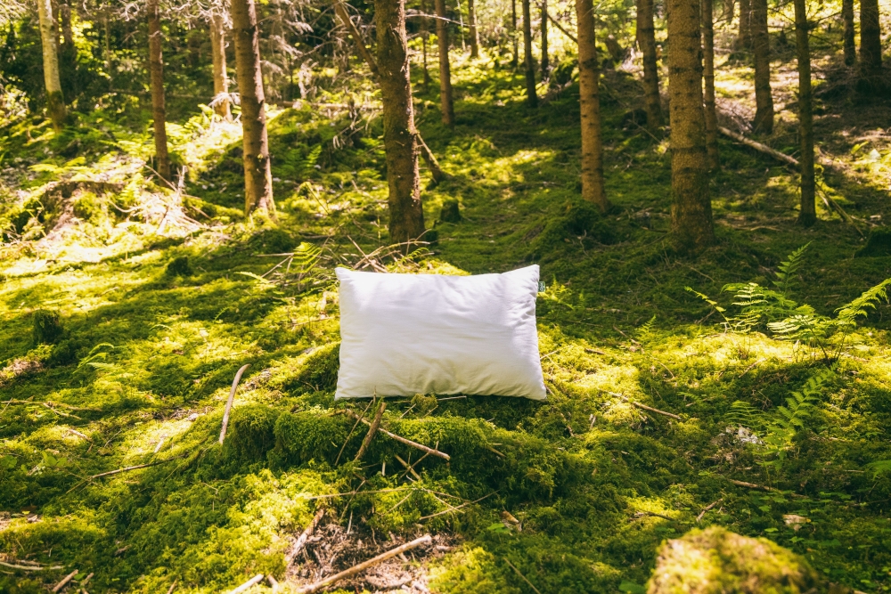 Bild: weißes Kissen am Waldboden