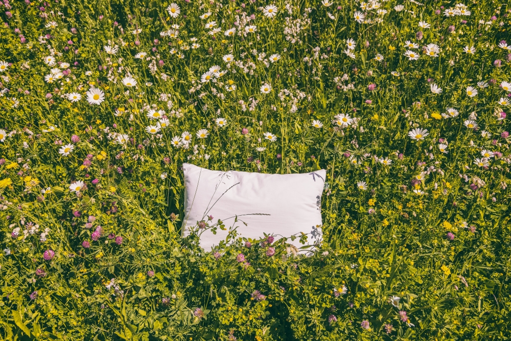 Bild: weißes Kissen in einer Blumenwiese