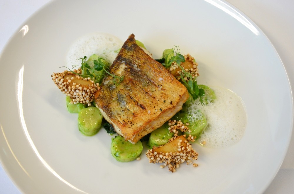 Gegrilltes Zanderfilet mit Bärlauchpesto Bild: Gegrilltes Zanderfilet mit Bärlauchpesto