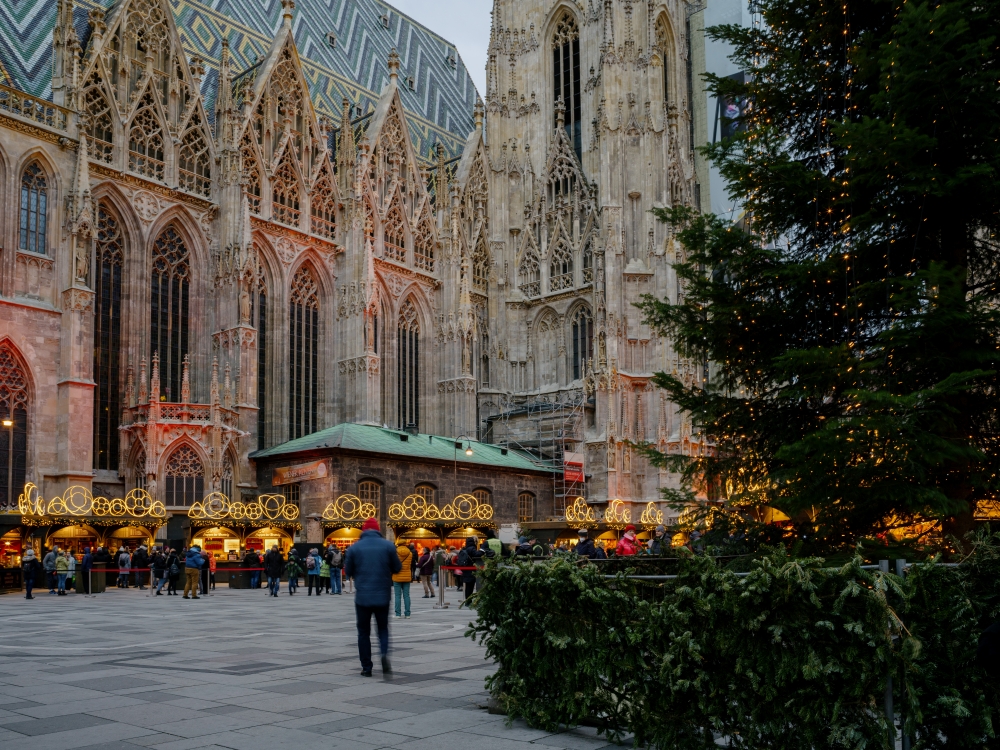 Christmas lights, Stephansplatz ViennaTourism Julius Hirtzberger web Picture: Christmas market at Stephansplatz