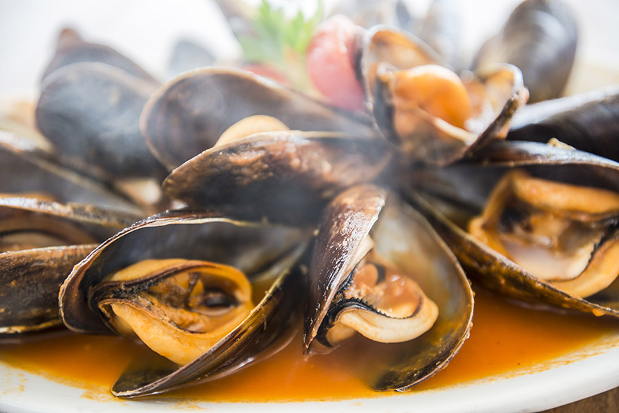 Foto: Mejillones